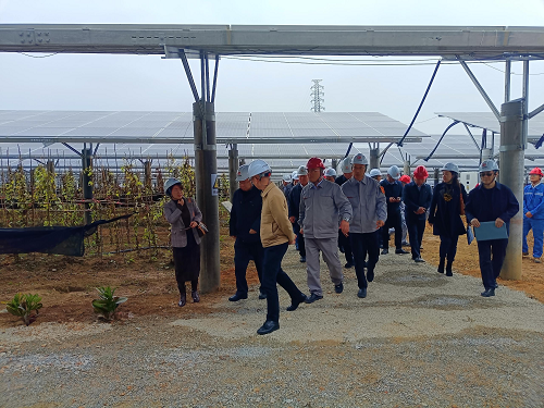 省工業(yè)和信息化廳副廳長吳東文及縱向幫扶組團(tuán)單位一行到葵潭農(nóng)場(chǎng)調(diào)研3.png