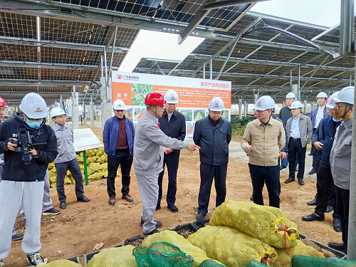 省工業(yè)和信息化廳副廳長吳東文及縱向幫扶組團(tuán)單位一行到葵潭農(nóng)場(chǎng)調(diào)研2.png